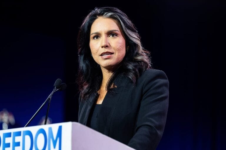 Tulsi Gabbard DNI confirmation Senate hearing photo