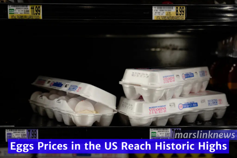 Eggs prices
