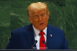 President Donald Trump